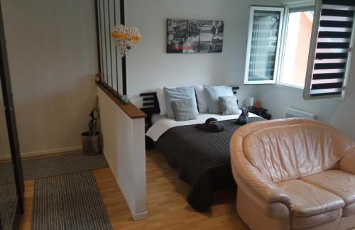 Charmant studio classé 3 étoiles au coeur de Niederbronn-les-Bains - Foto 5