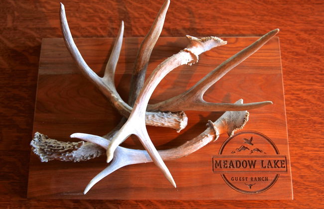 Meadow Lake Guest Ranch - Photo 77