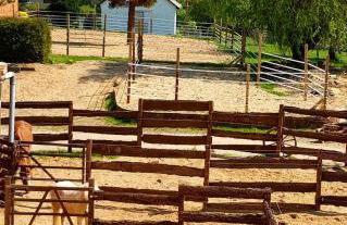 Ferienwohnung "Kieperhof" - Foto 10