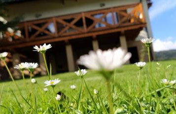 Leśny Domek - Foto 62