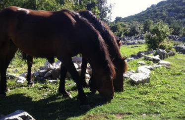 Studio Apartments Marra & Kech - Foto 24