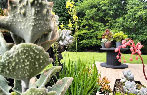 agroturismo Araize - Foto 52