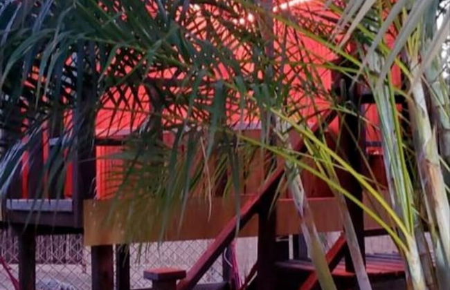 Ariami Rose Romantic Cabin - Foto 10