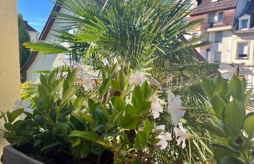 Appartements des Logis des Jardiniers Strasbourg-Roberstau - Foto 21