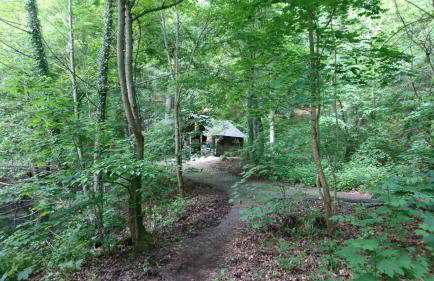 Apartment Schlossblick - Top location - Foto 78