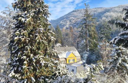 Waldhaus zum gechillten Hirsch in der Natur, bei der Moseltherme Traben-Trarbach - Foto 49