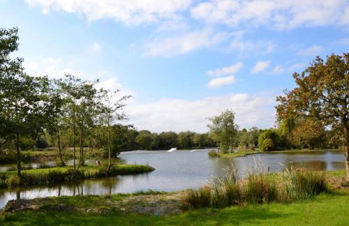 Lodges in Lanivet Cornwall with indoor pool - Foto 12