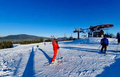 Górskie Siedlisko - 3 Chaty - Foto 68