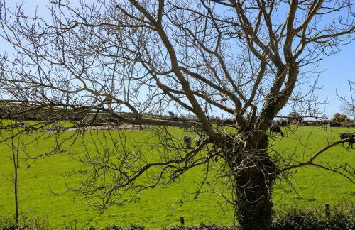 Atlantic View - Foto 33