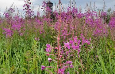 Chatka pod Lubaniem - Photo 38