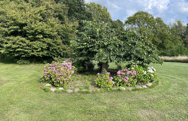 6 Person Holiday Home in Praesto-by Traum - Foto 22