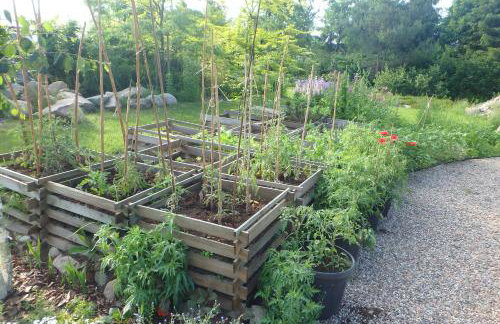 U Aptekarzy - Foto 51