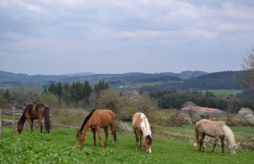 Les Perruchons ancienne grange rénovée avec soin - Foto 41