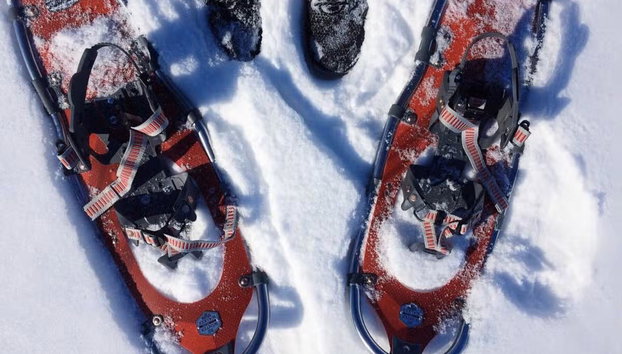 Snowshoe Trek - Photo 2