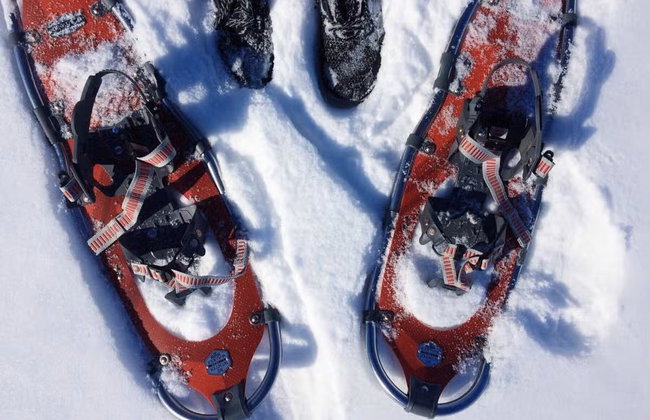 Snowshoe Trek - Photo 2