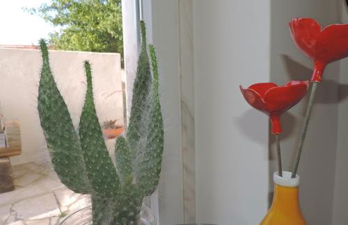 BLISS WHITE HOUSE - Foto 35