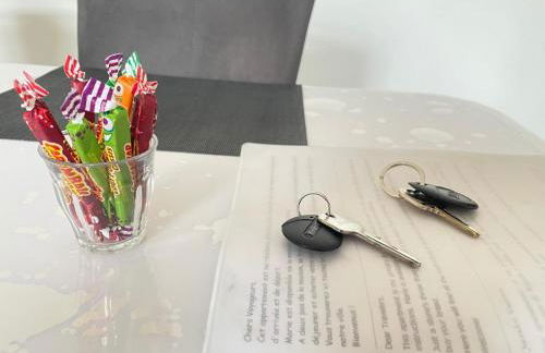 Appartement 1 Chambre au Cœur de Bordeaux - Foto 30