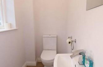 Royal Hillsborough Village Luxury Townhouse - Foto 11