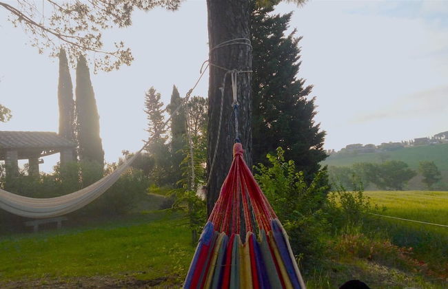 Fonte Pecciano 1856 - Photo 27