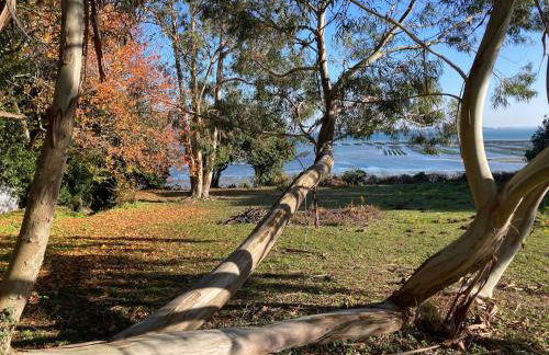 Site exceptionnel accès mer grands espaces - Foto 48