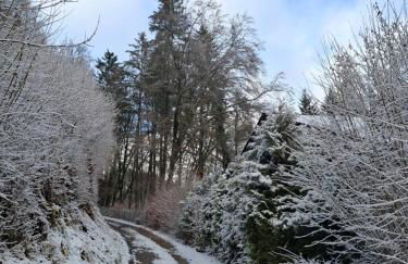 Ferienwohnung Haus Schöneck - Foto 6