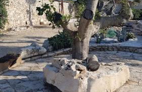 Il Trullo al Mare -Trullo by the sea- Pool & Beach - Foto 60