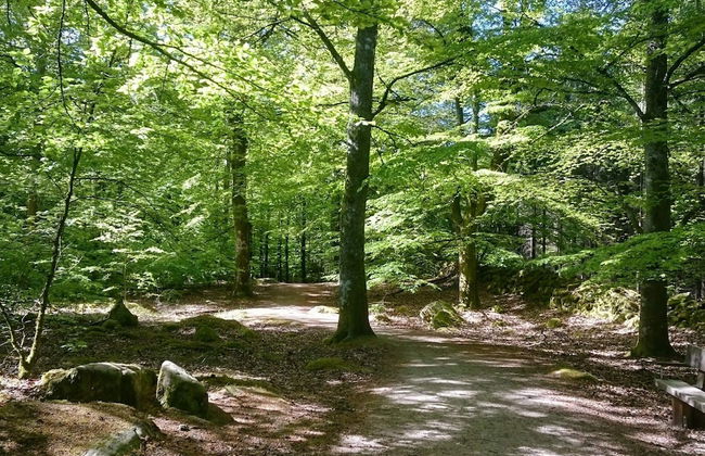 4 Person Holiday Home in Everod-by Traum - Foto 19