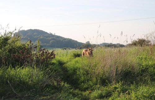 The Nestle - A Romantic Rural Retreat - Foto 44