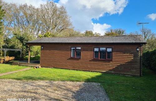 The Reading Chalet and gardens, suitable for contractors - Photo 10