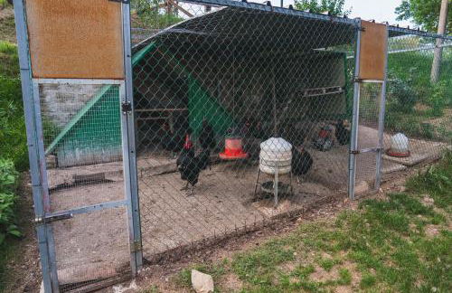 Casa Ambrogi Stefano - Photo 60