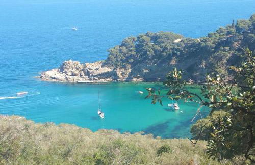 Cala Salions, Chalana II - Foto 64