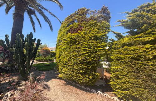 Casa Geminis Vinaròs - Foto 51