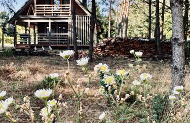 Domki pod Aniołem - Foto 1