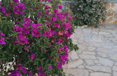 Apartment Megy - Foto 18