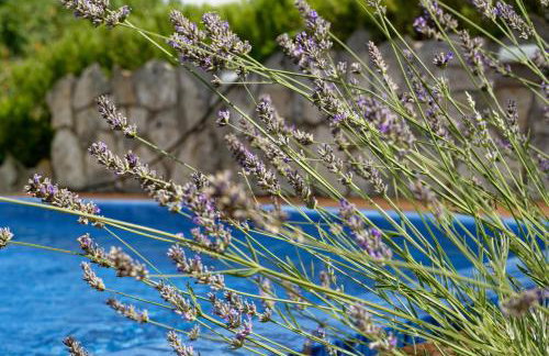 Apartman Gizdavac - Photo 51