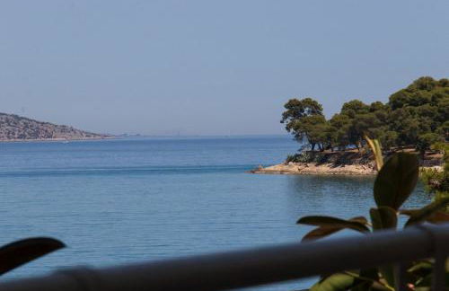 Grand Bleu Apartments & Villas - Photo 50