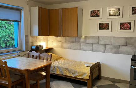 Aktywna Agroturystyka - Foto 18