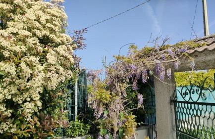 La Candelora Casa Vacanze - Foto 27