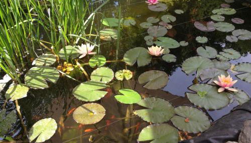 Ferienwohnung Lahnmündung - Foto 2, Garden