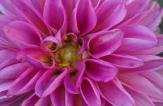 Beautiful Home in Freeport, New York 11520 - Foto 8