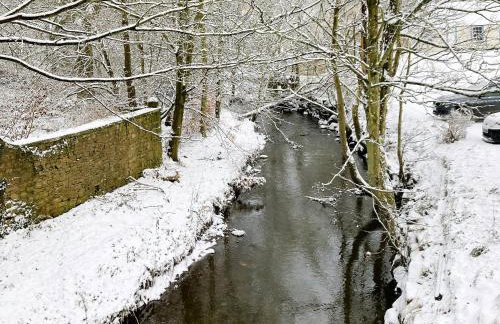 Buchanan Park - Photo 27