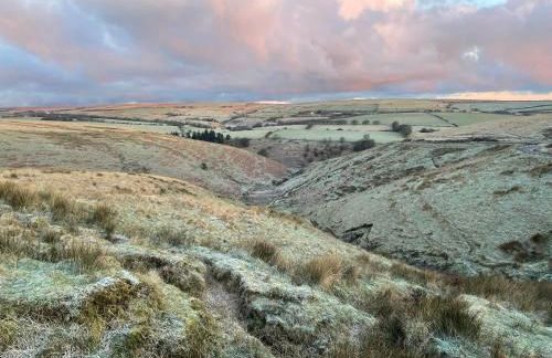 Winstitchen Cottage situated near the River Barle - Foto 58