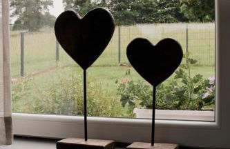 Idyllisch gelegene Ferienwohnung Franziska im Herzen des bayerischen Waldes - Foto 17