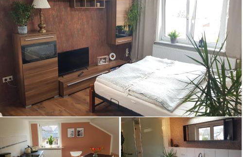 Ferienwohnung Malu Sol im Harz - stilvoll, gemütlich, tierfreundlich - mit Garten - Foto 28