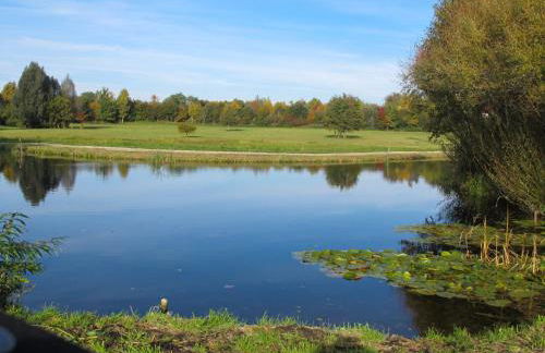 Apartment Nelke by Interhome - Foto 16