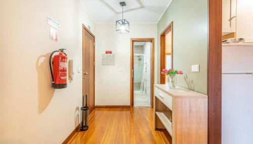 Tulipa do Gêres - Foto 2