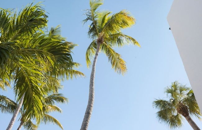 Loggerhead 282 2 Bedroom Condo by RedAwning - Foto 27