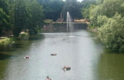 AMF Ferienwohnungen historischer Soutyhof - Foto 5