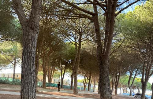 Cap Parenthèse By L'Avenue - T2 Familial - Proche plage, Seaquarium - 2e étage - Parking privé - Foto 25