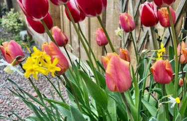 The Blue Door - Foto 31